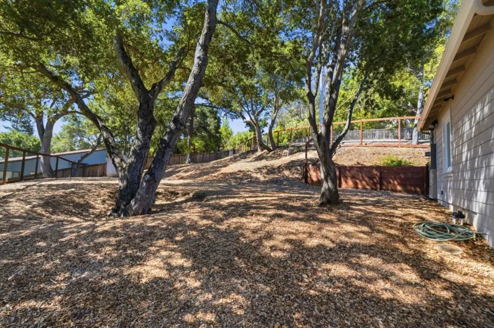 3803 Hamilton Way Redwood City, CA 94062