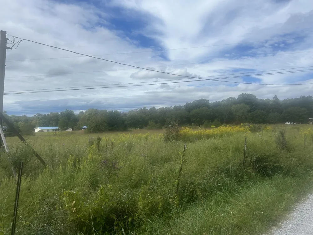 285 Raven Lane Evensville, TN 37332