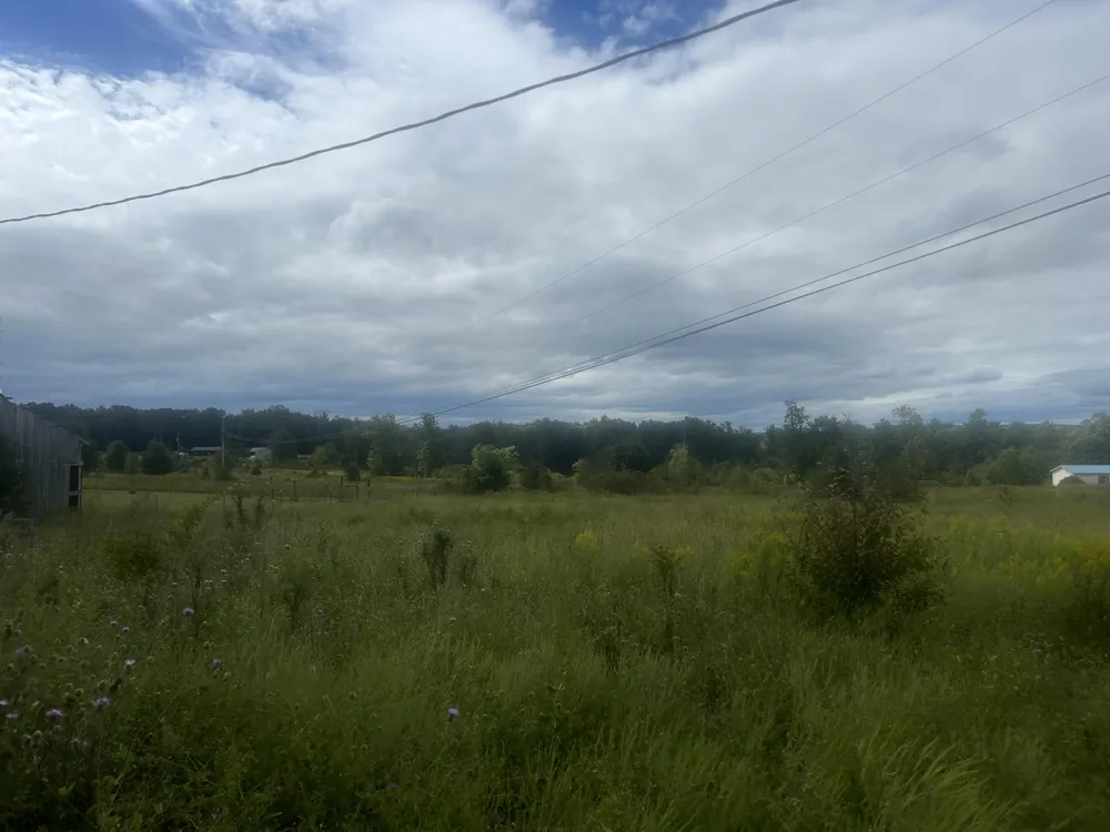 285 Raven Lane Evensville, TN 37332