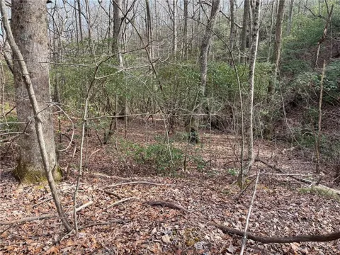 Lot 9F Renate Drive