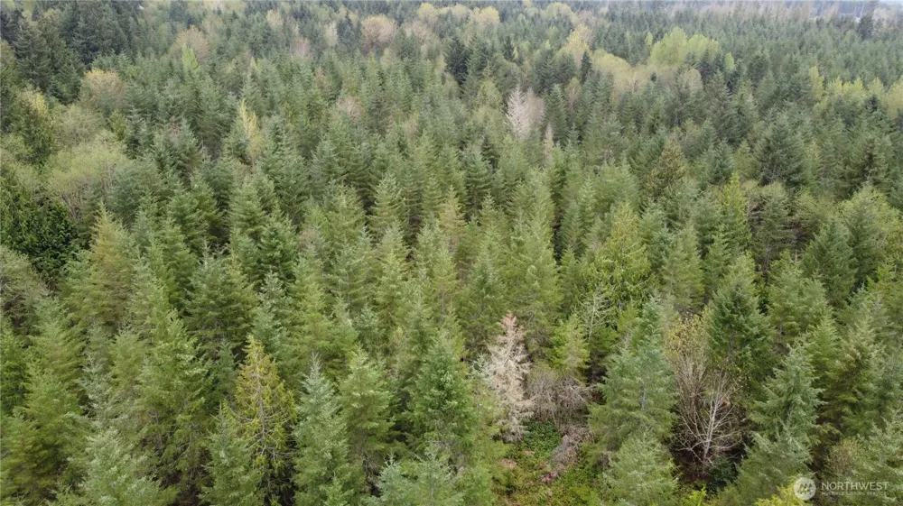0 164th Street E Buckley, WA 98321