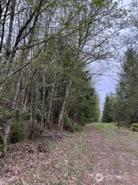 0 164th Street E Buckley, WA 98321