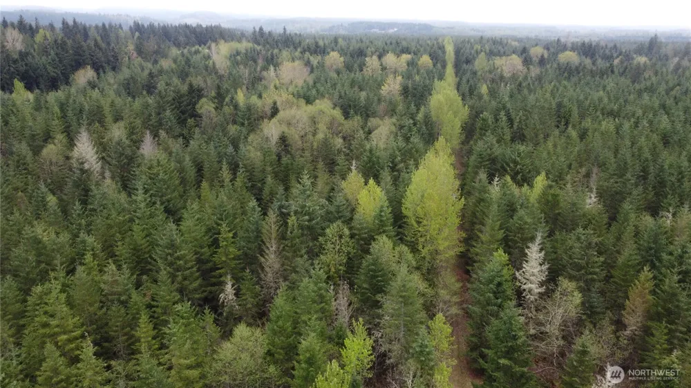 0 164th Street E Buckley, WA 98321
