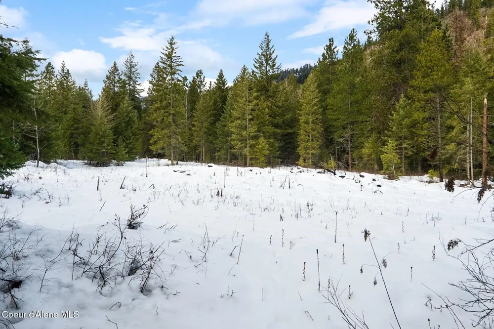 Parcel B Berry Canyon Road Sandpoint, ID 83864