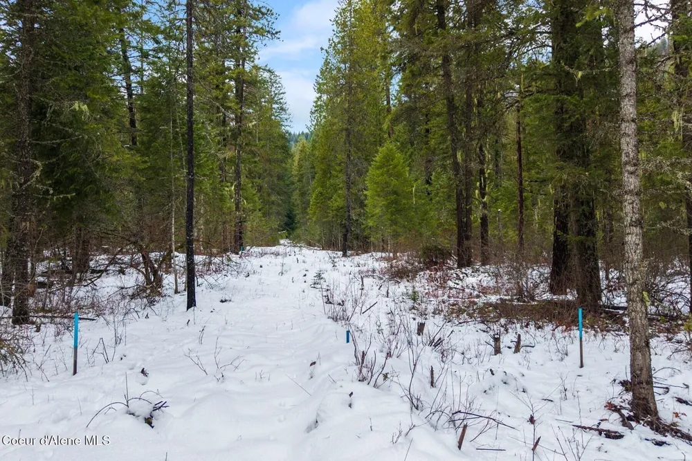 Parcel B Berry Canyon Road Sandpoint, ID 83864