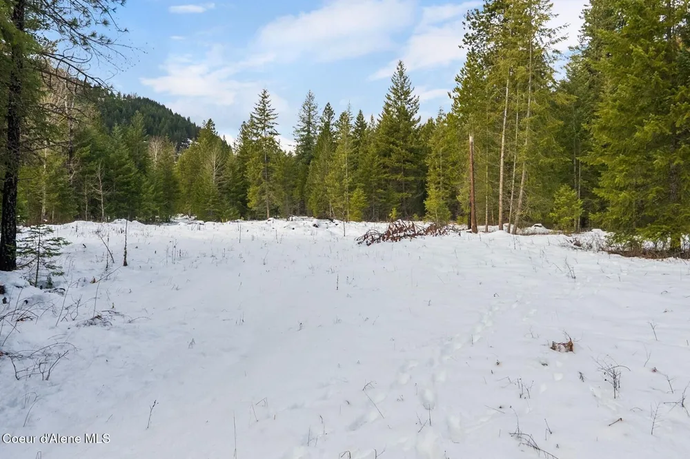 Parcel B Berry Canyon Road Sandpoint, ID 83864
