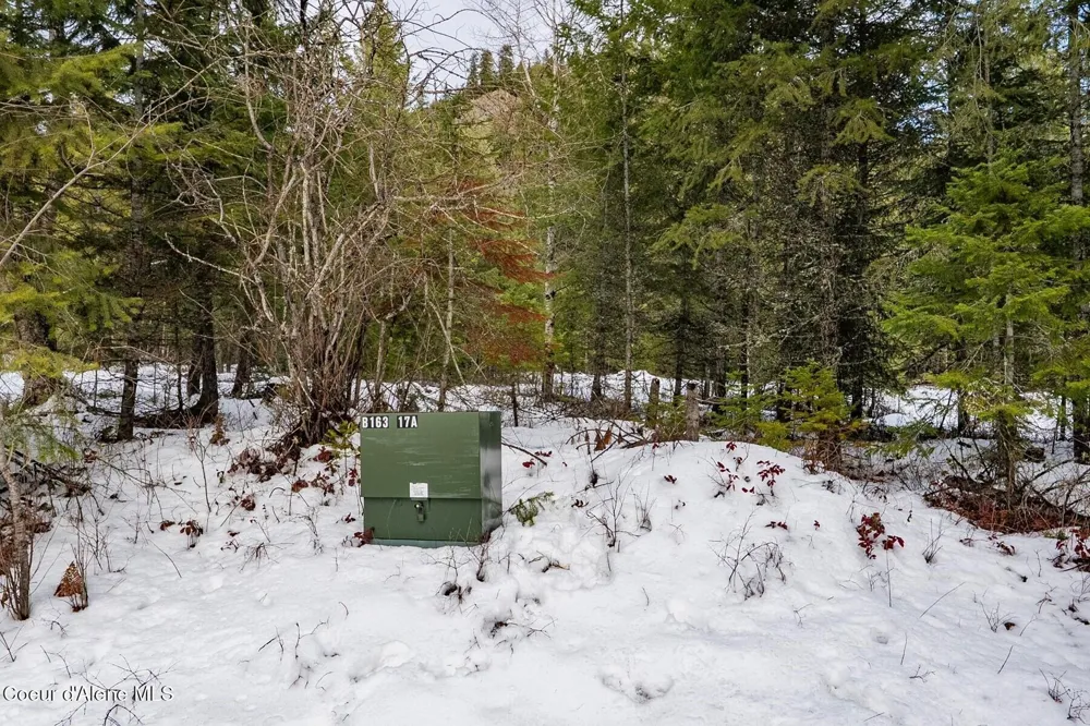 Parcel B Berry Canyon Road Sandpoint, ID 83864