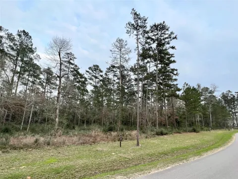 6 Lily Bean Road
