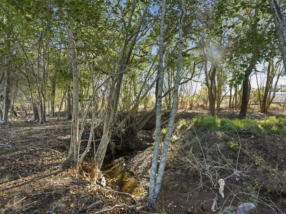 1123 Dunn Street Yoakum, TX 77995