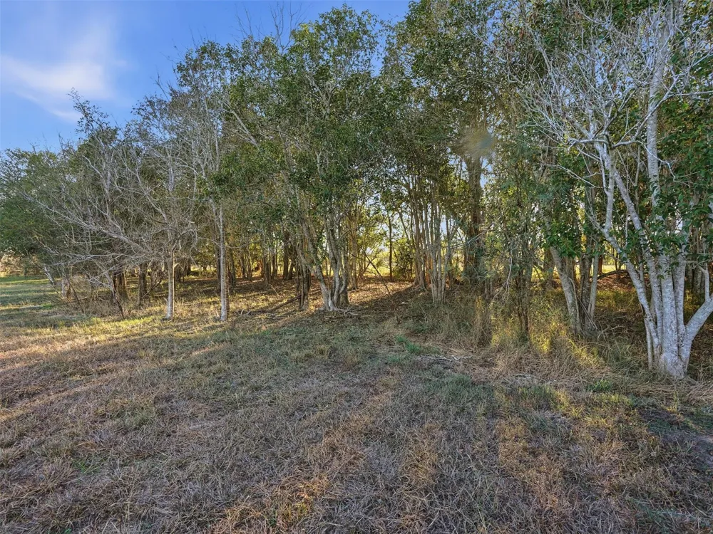 1123 Dunn Street Yoakum, TX 77995