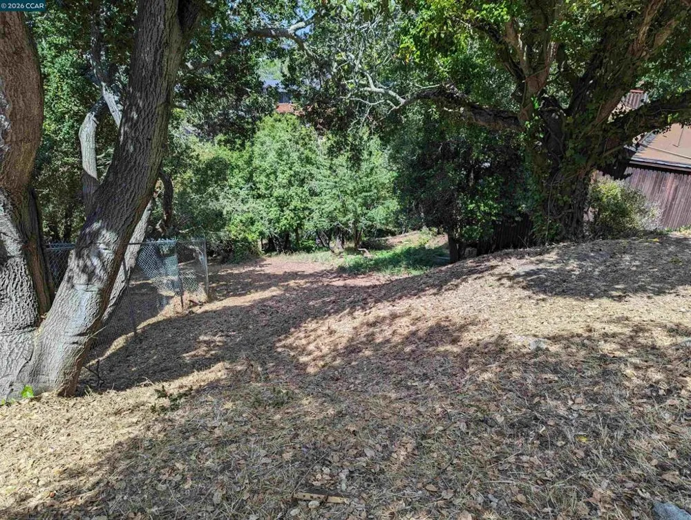 1110 Sterling Ave Berkeley, CA 94708