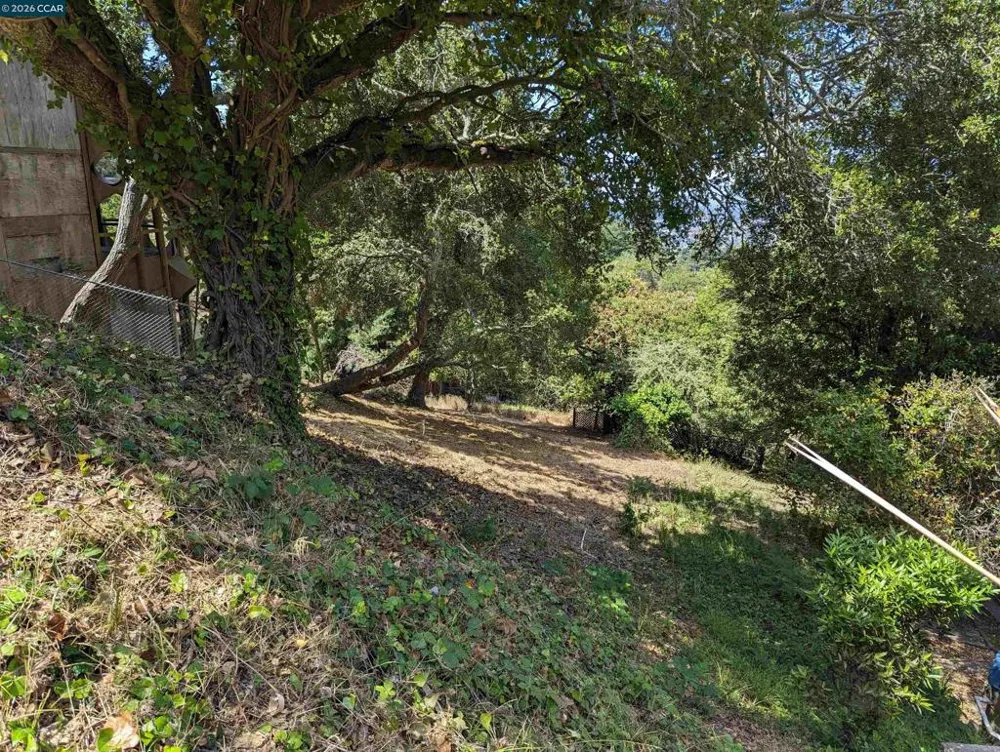 1110 Sterling Ave Berkeley, CA 94708