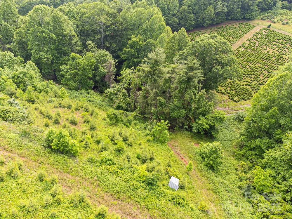 TBD Finch Lane Burnsville, NC 28714
