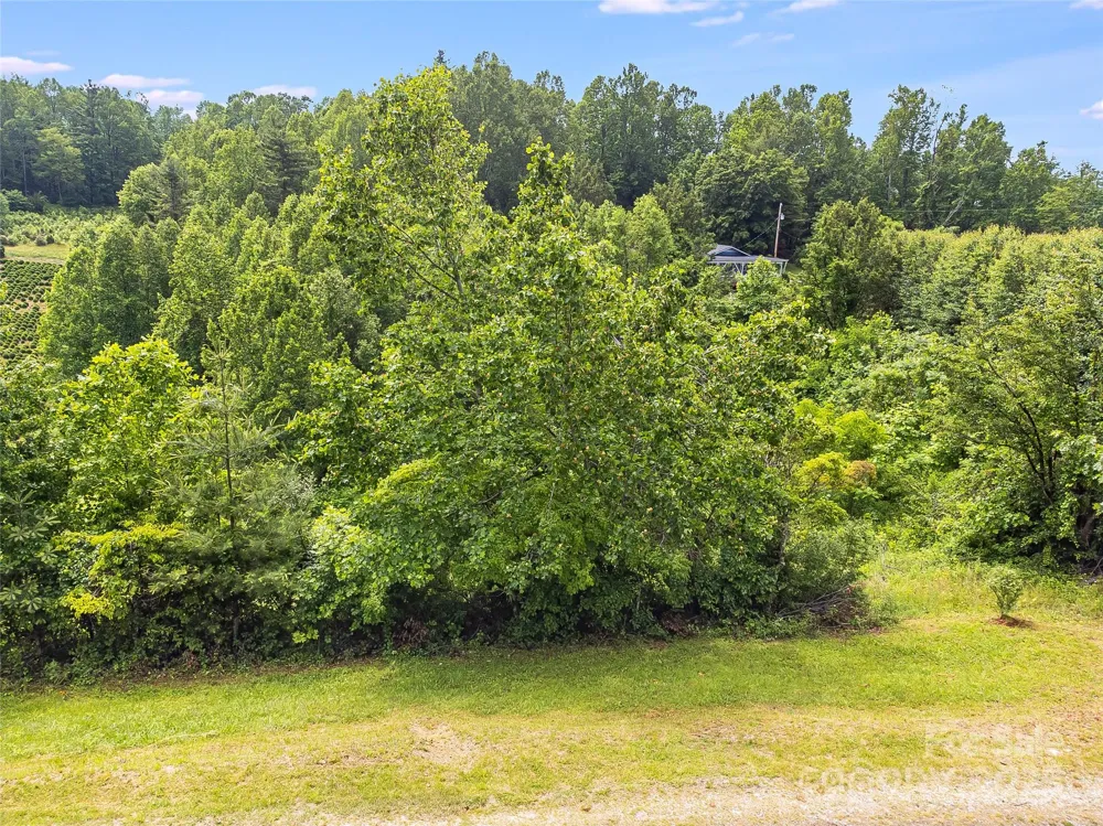 TBD Finch Lane Burnsville, NC 28714