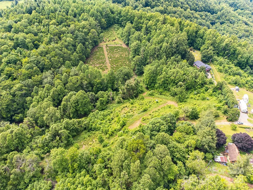 TBD Finch Lane Burnsville, NC 28714