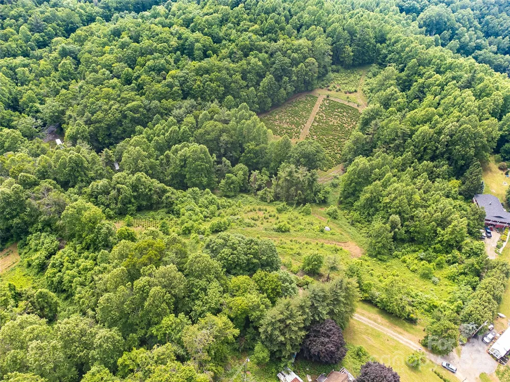 TBD Finch Lane Burnsville, NC 28714