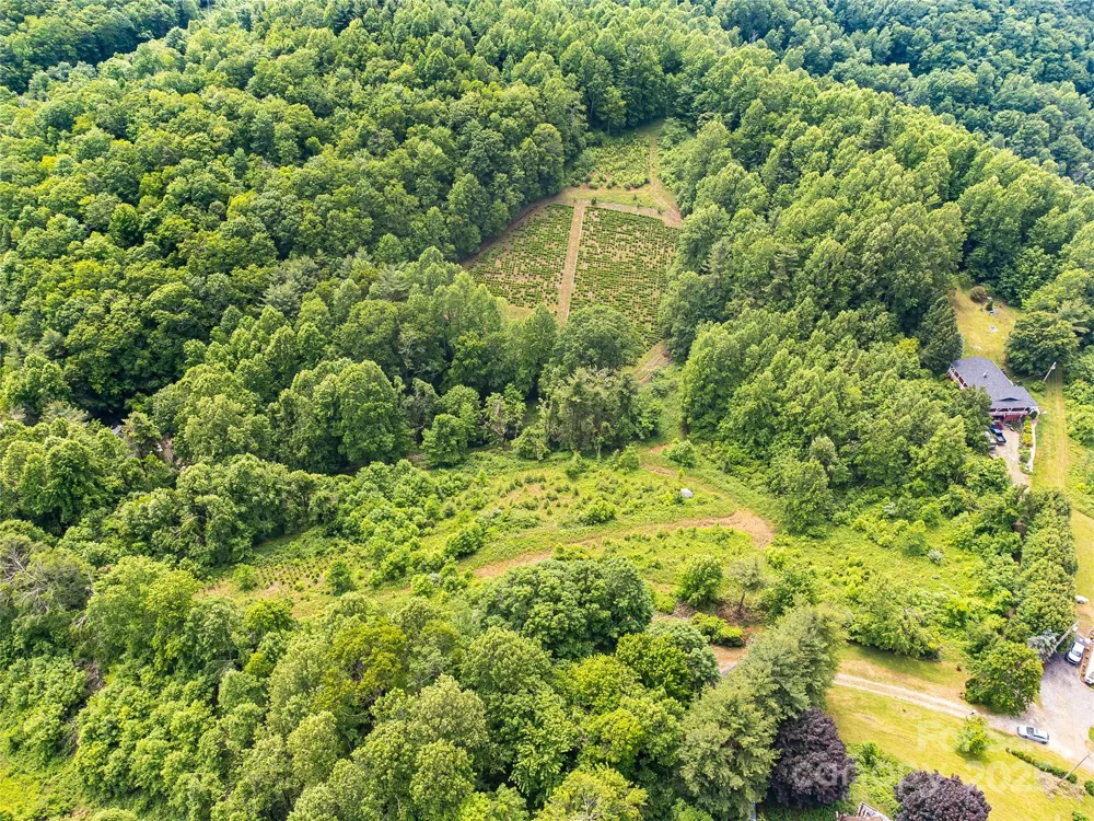 TBD Finch Lane Burnsville, NC 28714