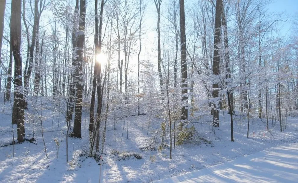 4181 Maple Hill Road Blair Township, MI 49637