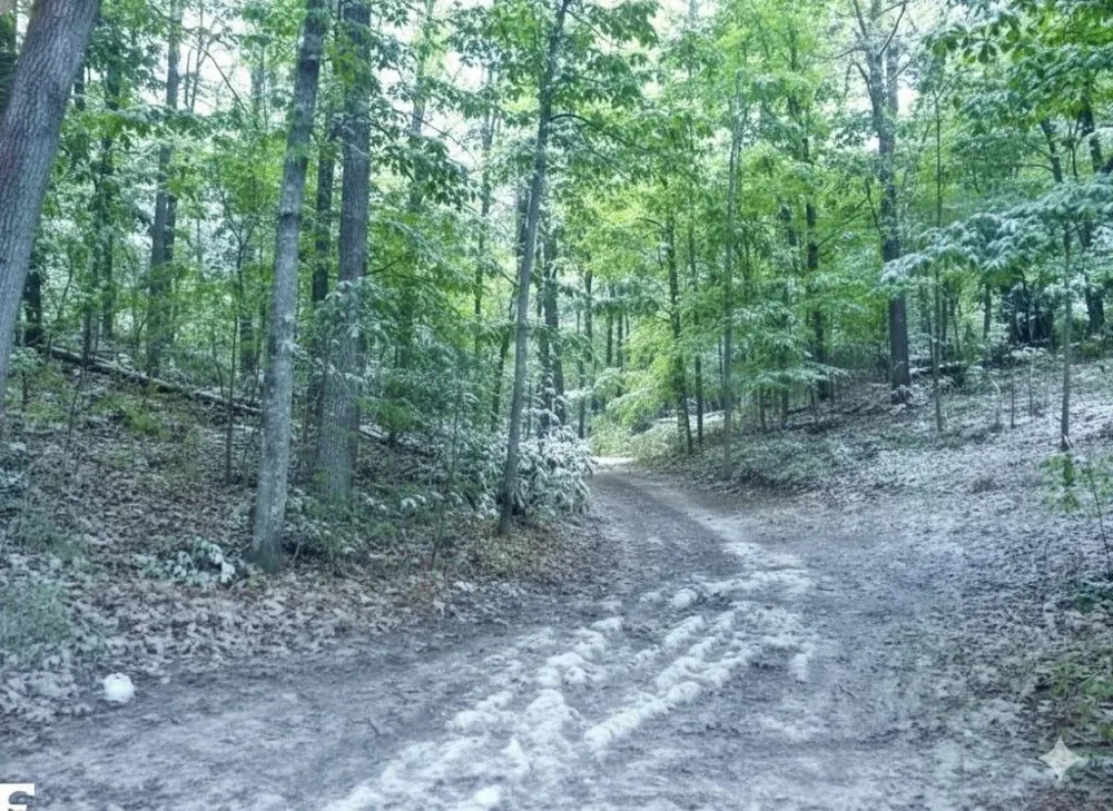 4181 Maple Hill Road Blair Township, MI 49637