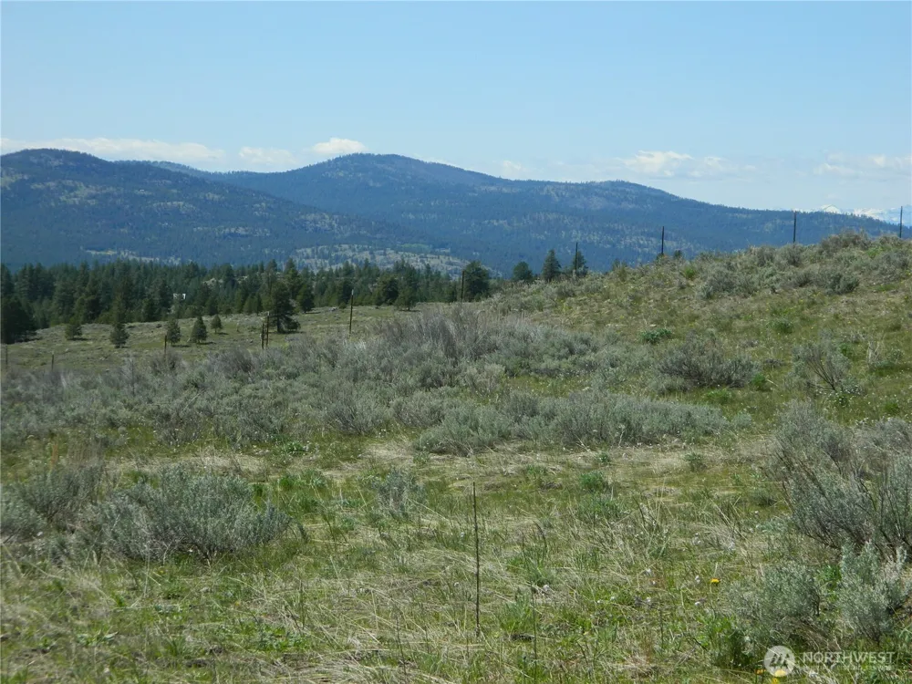 0 TBD High Country Drive W Tonasket, WA 98855