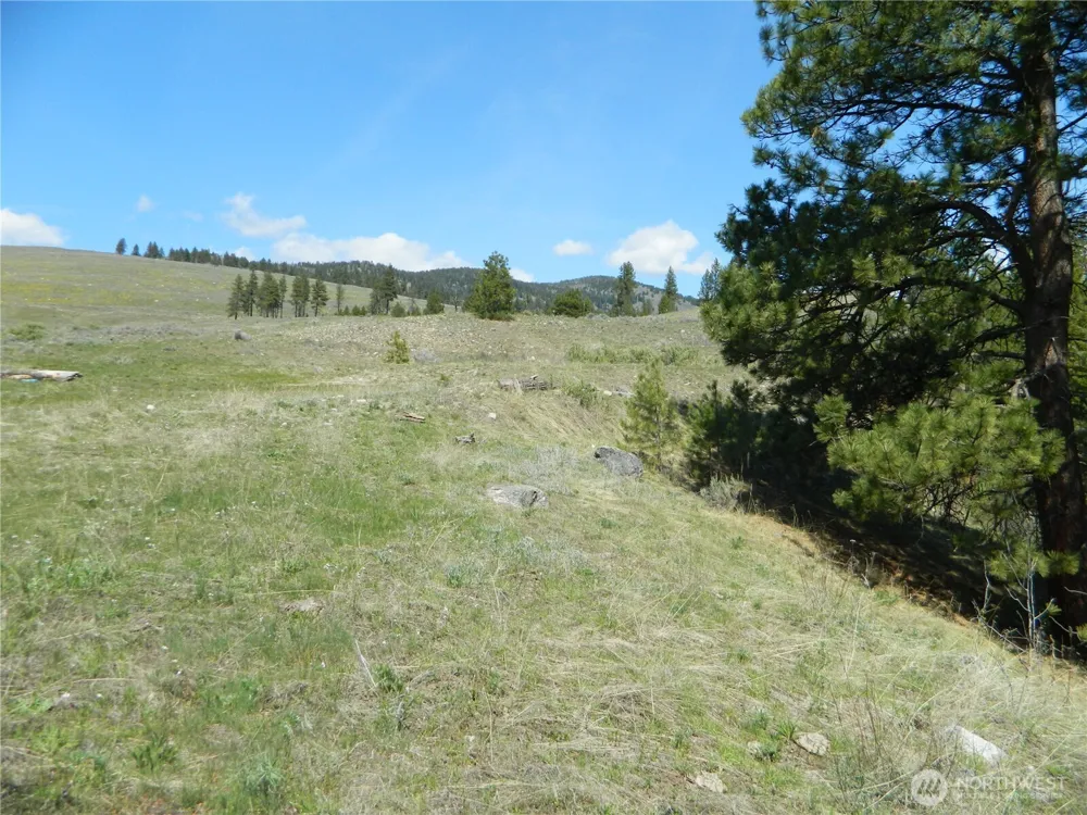 0 TBD High Country Drive W Tonasket, WA 98855