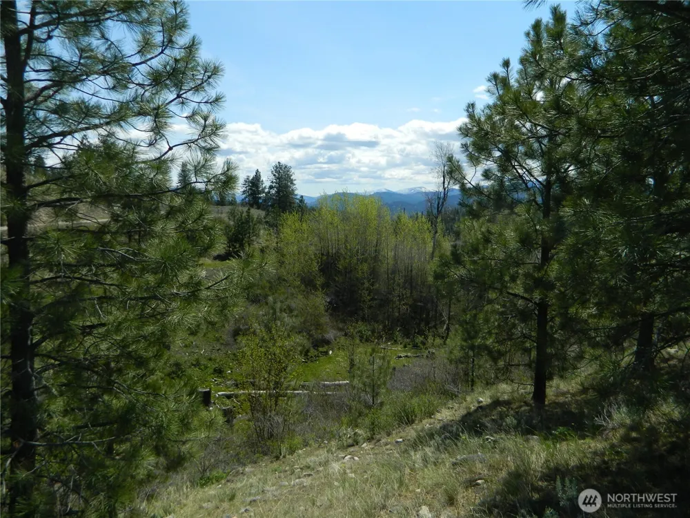 0 TBD High Country Drive W Tonasket, WA 98855