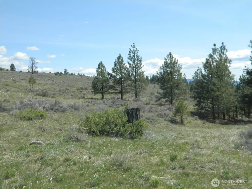 0 TBD High Country Drive W Tonasket, WA 98855