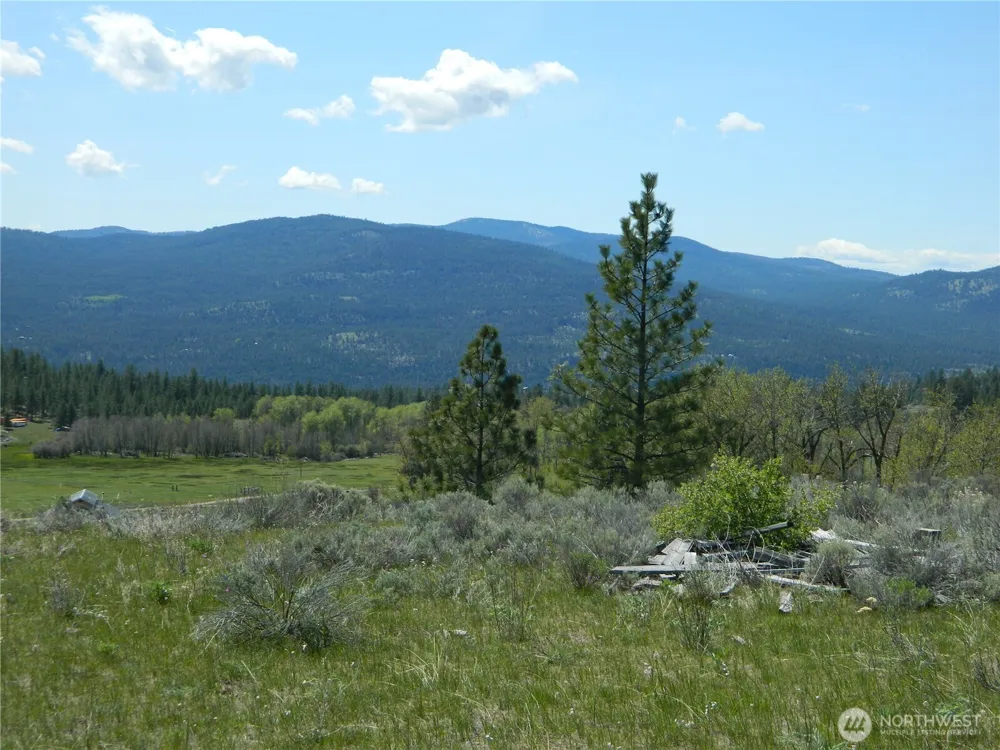 0 TBD High Country Drive W Tonasket, WA 98855