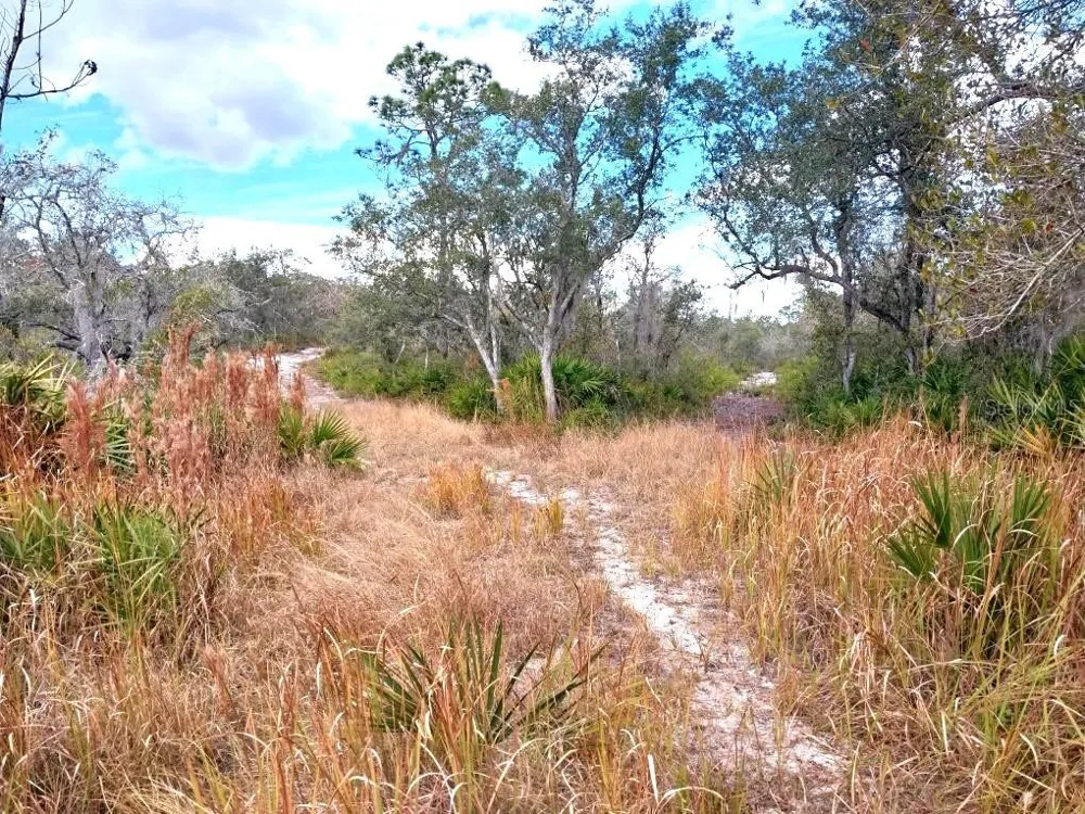 701 GOPHER TRAIL Frostproof, FL 33843