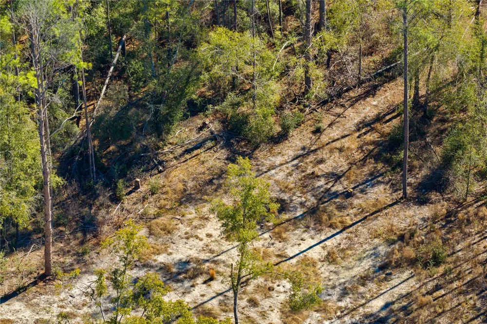 12TH TERRACE Live Oak, FL 32060