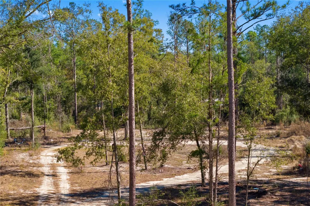 12TH TERRACE Live Oak, FL 32060
