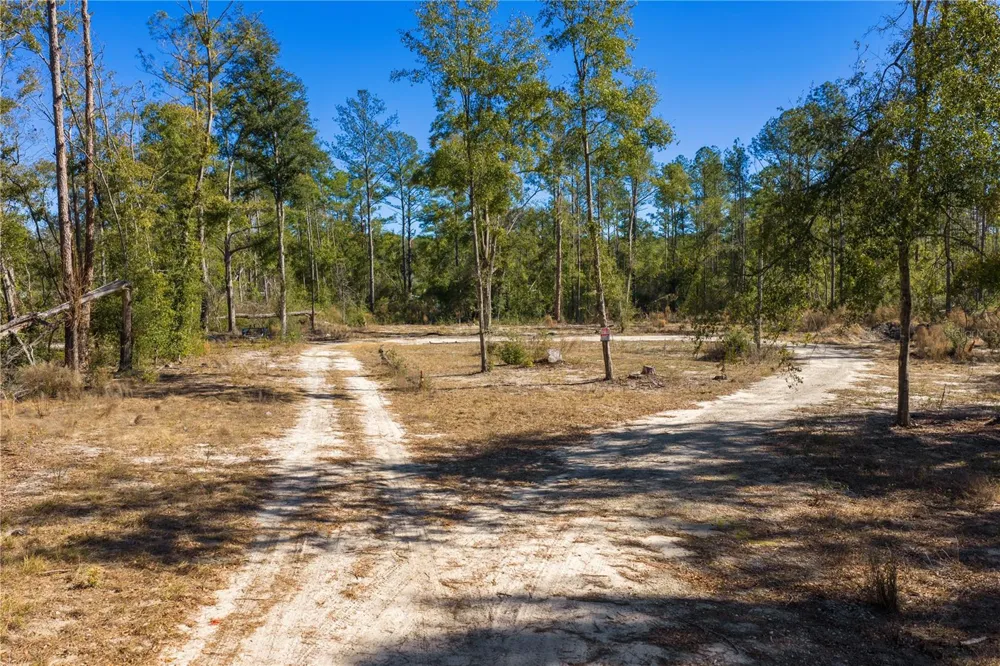 12TH TERRACE Live Oak, FL 32060