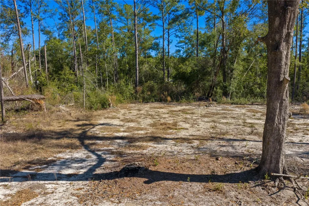 12TH TERRACE Live Oak, FL 32060
