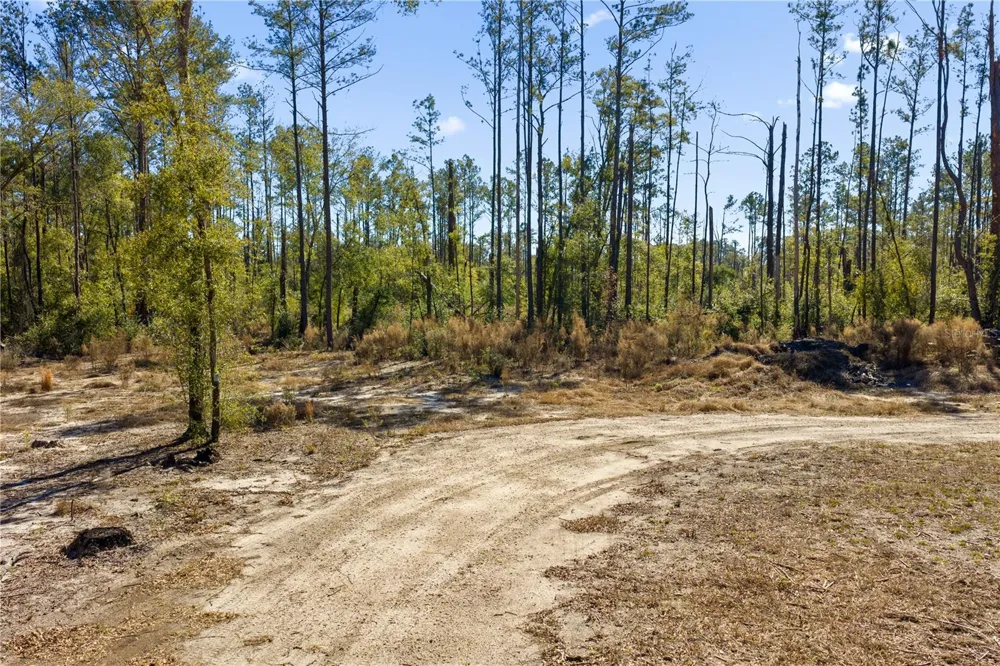 12TH TERRACE Live Oak, FL 32060