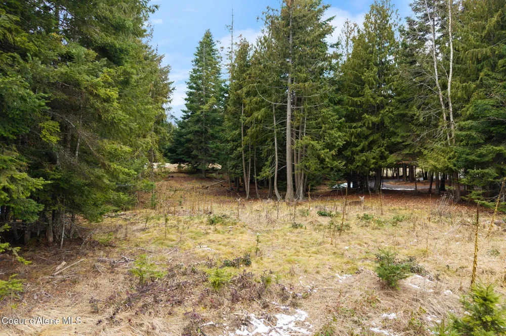 193 Cottage Lane Bonners Ferry, ID 83805