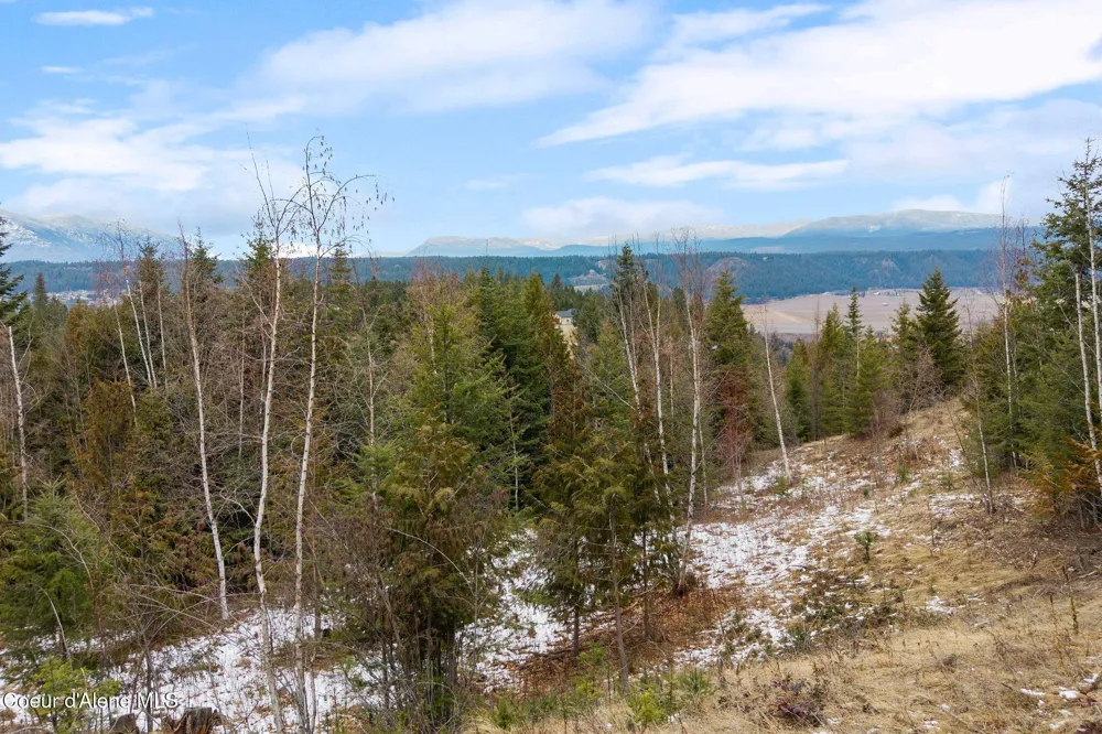 193 Cottage Lane Bonners Ferry, ID 83805