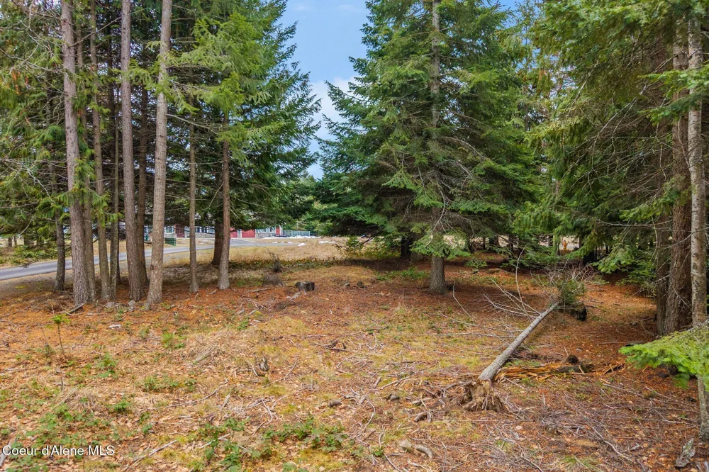 193 Cottage Lane Bonners Ferry, ID 83805