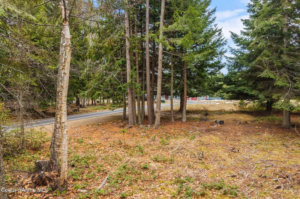 193 Cottage Lane Bonners Ferry, ID 83805