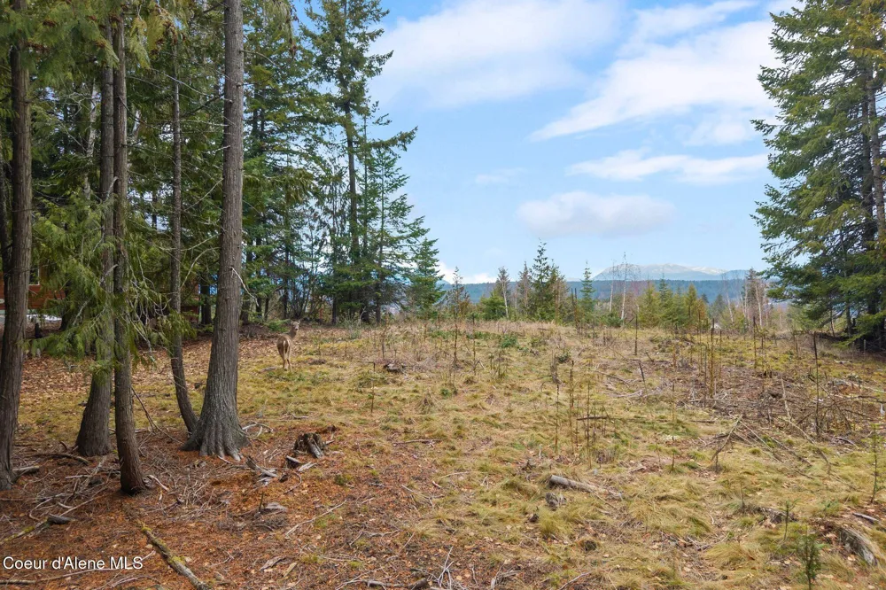 193 Cottage Lane Bonners Ferry, ID 83805