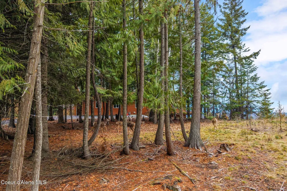 193 Cottage Lane Bonners Ferry, ID 83805