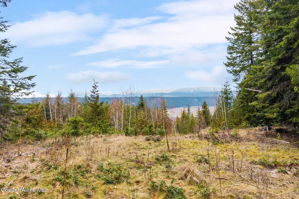 193 Cottage Lane Bonners Ferry, ID 83805