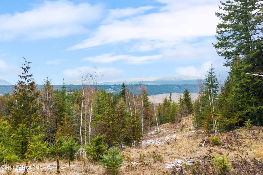 193 Cottage Lane Bonners Ferry, ID 83805