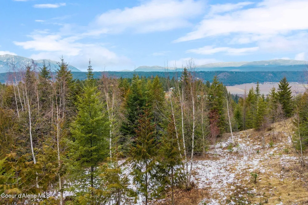 193 Cottage Lane Bonners Ferry, ID 83805
