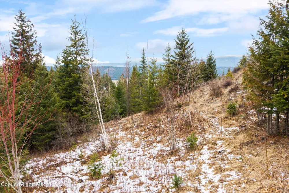 193 Cottage Lane Bonners Ferry, ID 83805