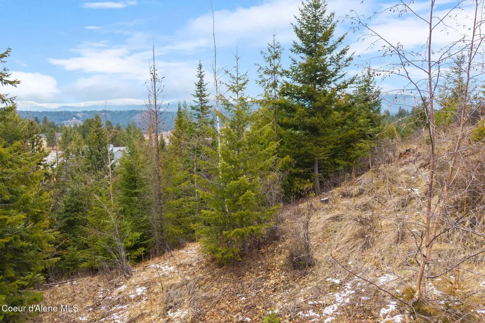 193 Cottage Lane Bonners Ferry, ID 83805