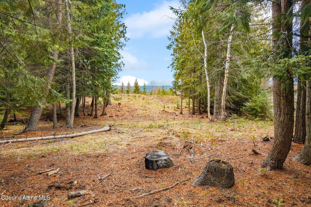 193 Cottage Lane Bonners Ferry, ID 83805