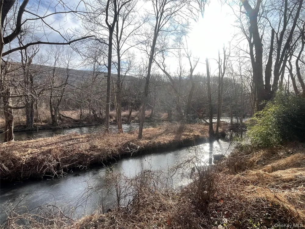 140 Orrs Mills Road Salisbury Mills, NY 12577