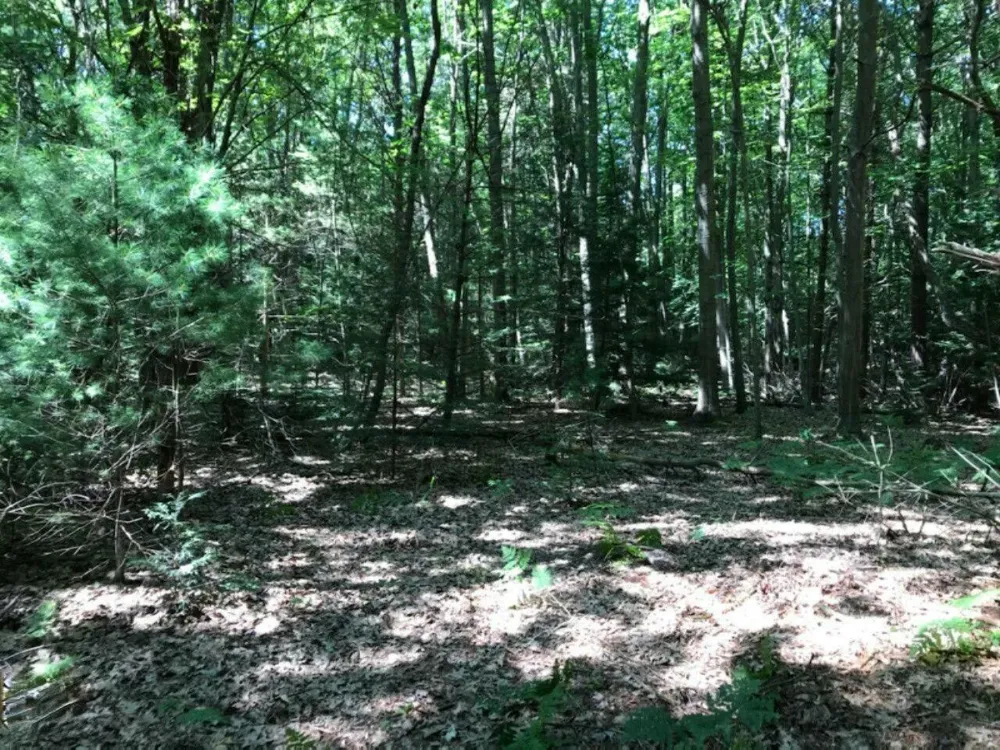 1 Bix Trail Montague, MI 49437