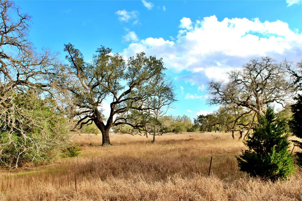 Kearney Drive Columbus, TX 78934