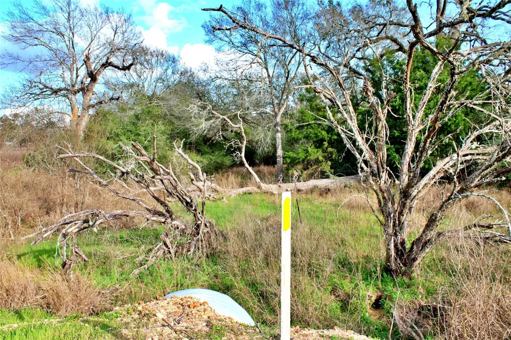 Kearney Drive Columbus, TX 78934